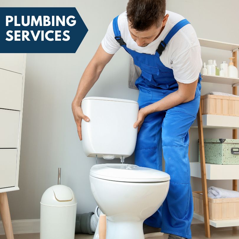 Plumbing Company in Whittemore, IA